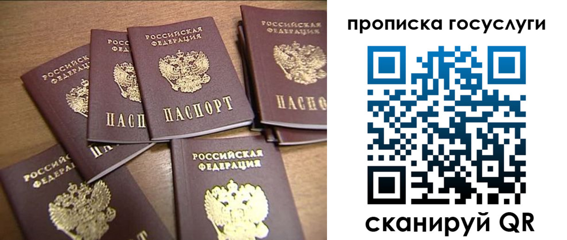 прописка ребенка в Сальске